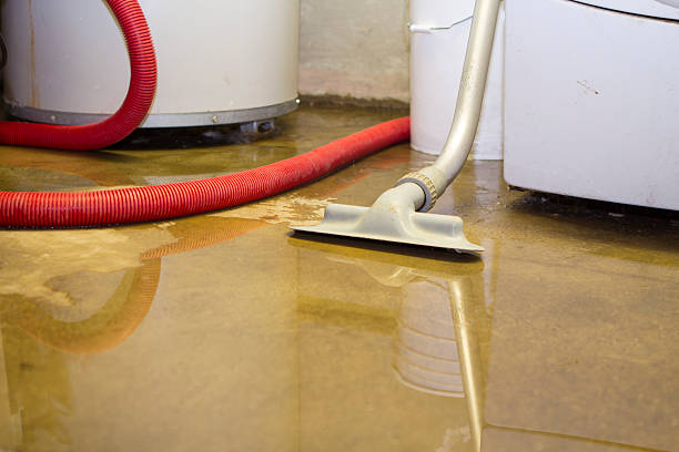 Best Flood damage cleanup  in Muldrow, OK